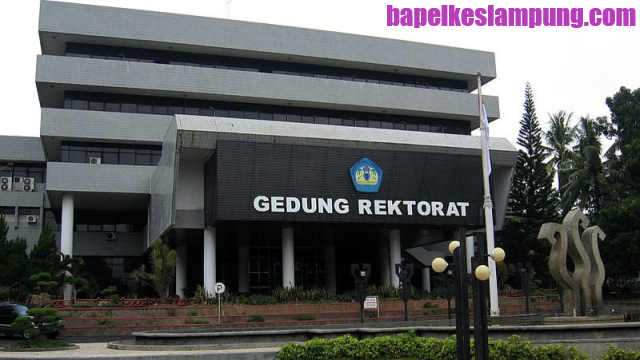 Universitas Terbaik Di Lampung Pilihan Favorit Calon Orang Sukses